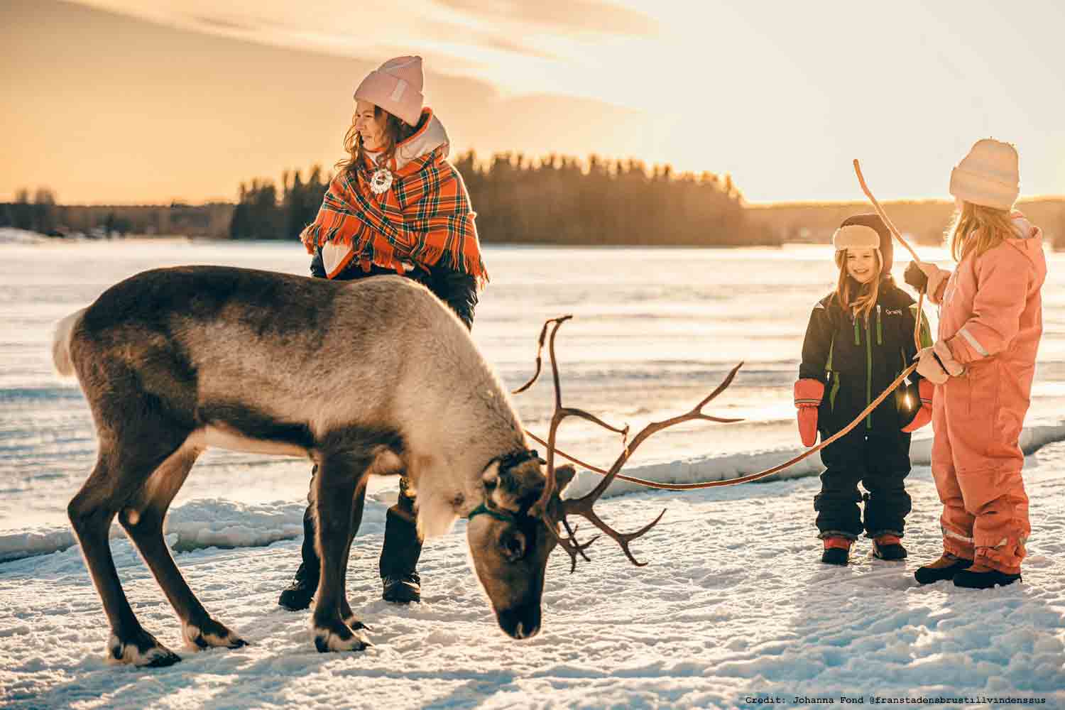 Feed the Reindeer