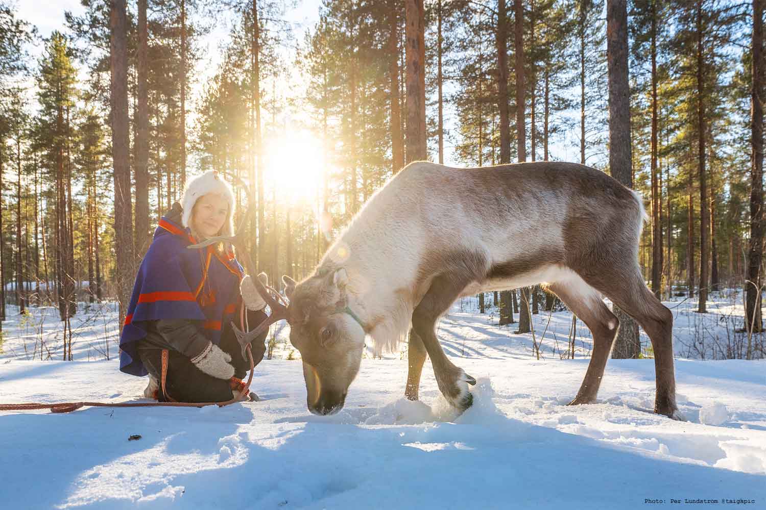 Lulea Family Fun Winter